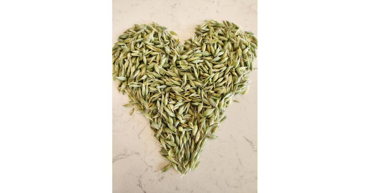 2023 Herbal Medicine Classes Arize Farm Botanicals