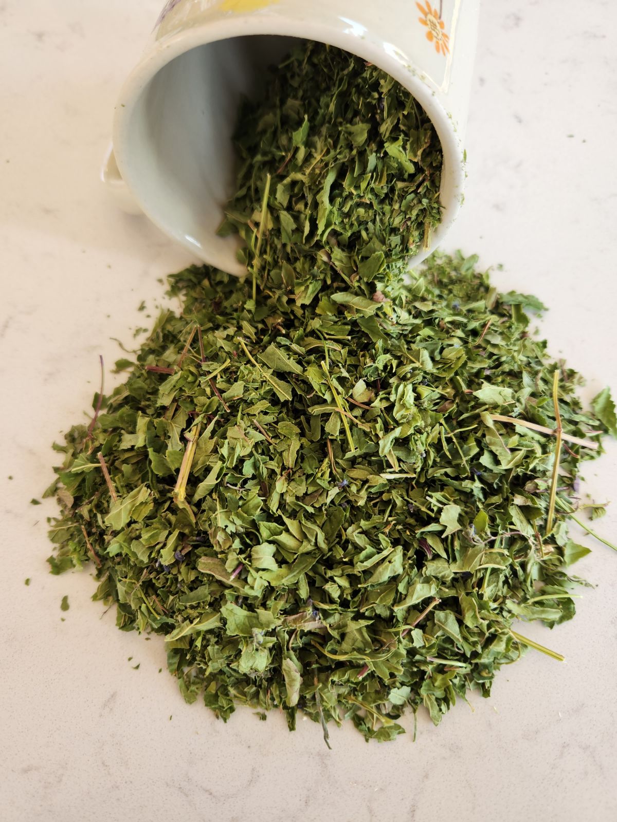 Skullcap (Official)
