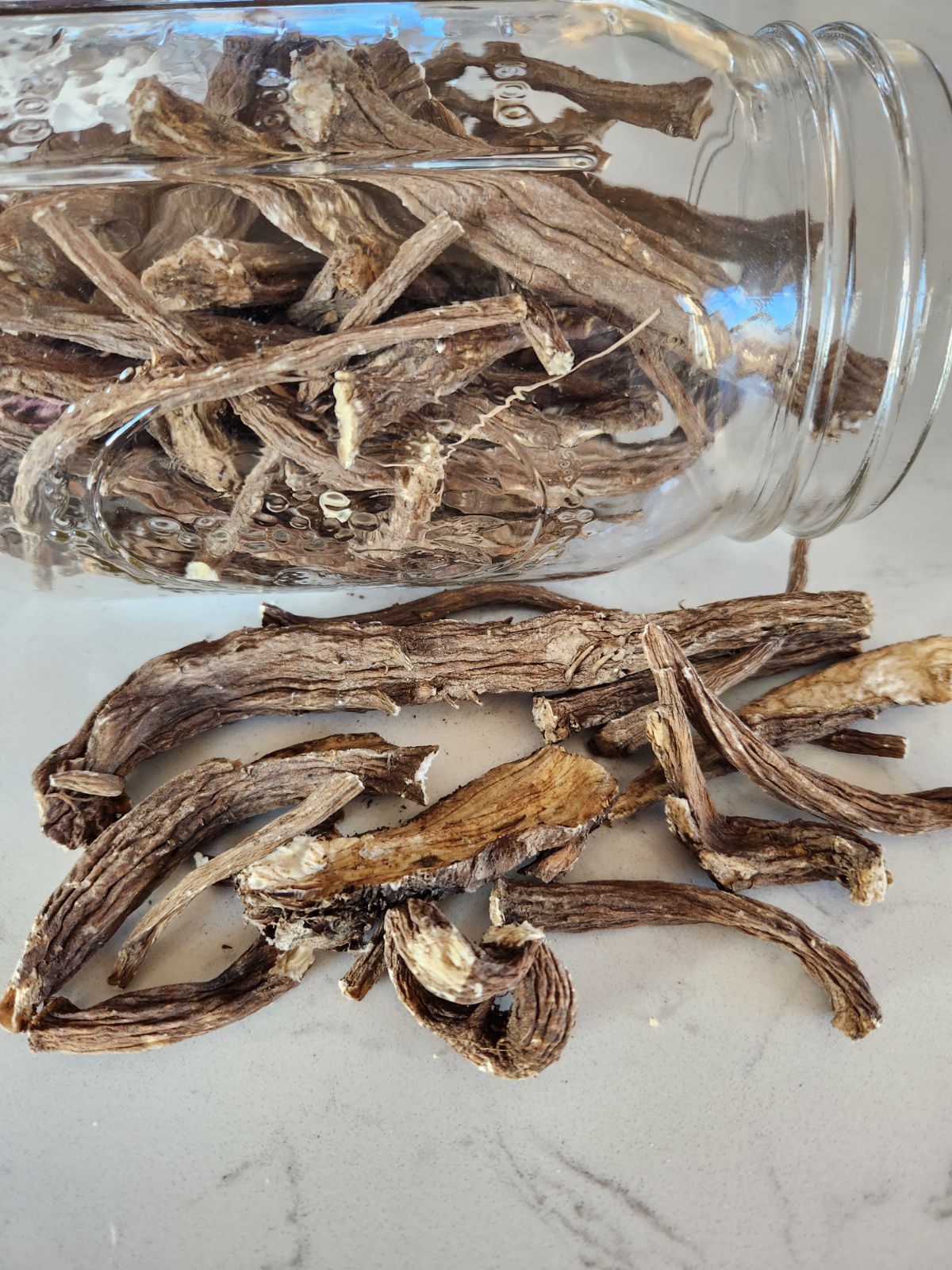 Burdock root whole