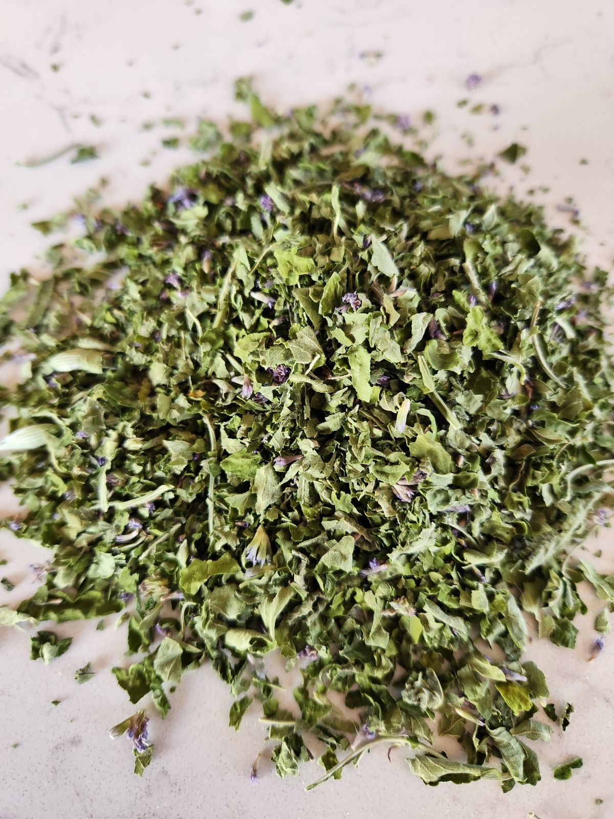 Anise Hyssop